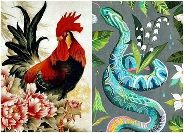 Dậu hay nảy sinh tâm lý so sánh. Về phía tuổi Tỵ, họ lại không thích bị soi xét hay đánh giá quá nhiều. Ảnh minh họa