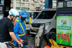 Đầu mối xăng dầu lãi lớn: Do điều hành giá có lợi cho doanh nghiệp?