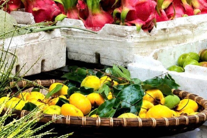Từ một loại quả dân đã ít được chú ý, thị bất ngờ 'lên ngôi' trở thành xu hướng