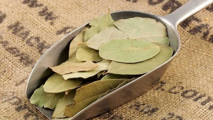 Lá nguyệt quế từ lâu đã được sử dụng để hỗ trợ tiêu hóa. (Ảnh minh họa)