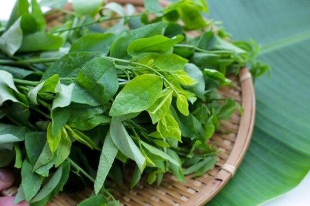 Rau ngót chứa hàm lượng Papaverin – một hợp chất có tác dụng làm giãn mạch mỡ và chống co thắt cơ trơn. (Ảnh minh họa: VTC News)