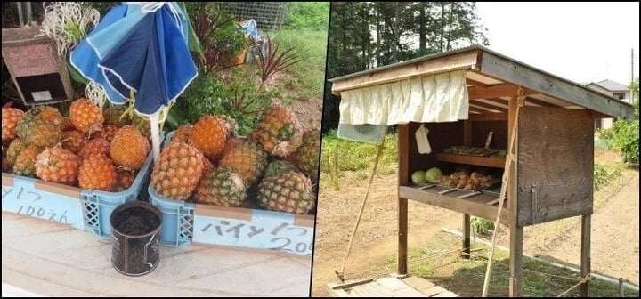 Tại Nhật Bản, nhiều quầy bán nông sản không người trông, khách chọn hàng rồi trả tiền. (Ảnh: JPO)