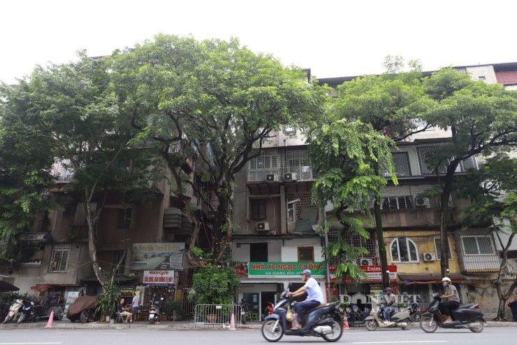 Từ thực tế trên, phường Hoàn Kiếm đã lên phương án phá dỡ và cải tạo chung cư 23 Hàng Tre. Tòa nhà mới 21 tầng, 3 tầng hầm, cao 78 m sẽ được xây dựng với tổng diện tích sàn (cả tầng hầm và tầng nổi) khoảng 20.000 m2. Thời gian thực hiện dự án cải tạo khoảng 30 tháng.