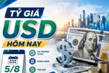 Tỷ giá USD hôm nay 5/8: Biến động trái chiều của Đồng Đô la Mỹ tại 'chợ đen' và khối ngân hàng