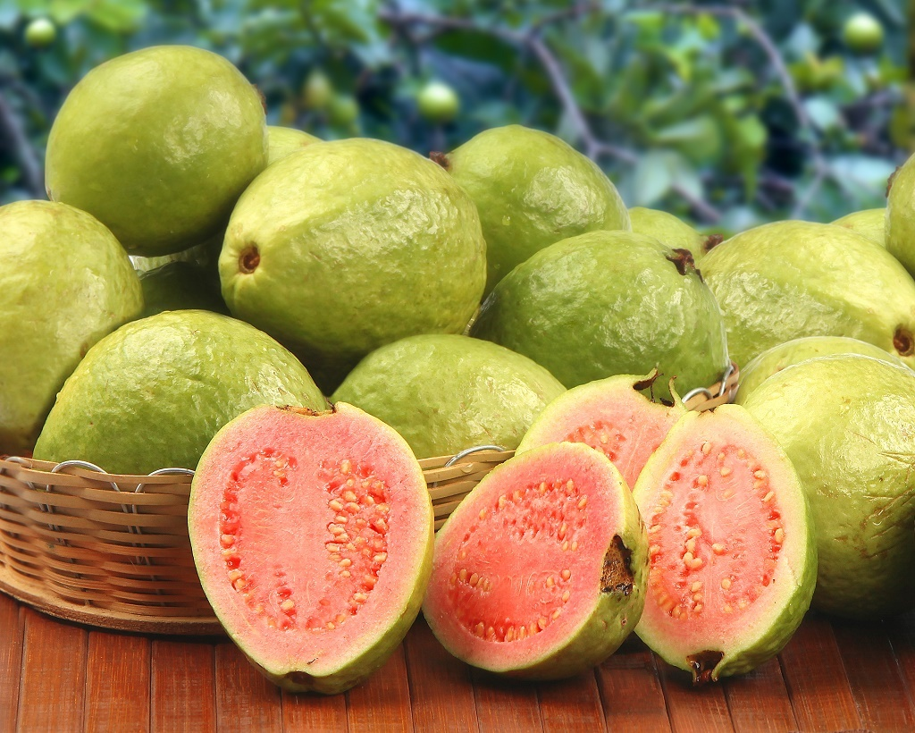 “Siêu trái cây” chứa hàm lượng vitamin C cao vượt trội, rất tốt cho hô hấp! - 1
