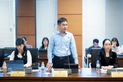 Lan ‘đột biến’, cây cảnh trăm tỷ: Có dấu hiệu rửa tiền không?