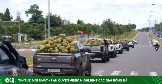 Vùng đất "khổng lồ" trồng "cây tỷ đô", Đắk Lắk kỳ vọng tạo dấu ấn toàn cầu với kỷ lục Guinness về sầu riêng