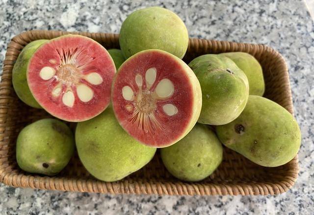 Quả chay là loại quả dân dã quen thuộc ở nhiều vùng quê Việt Nam, thường được dùng để nấu canh chua hoặc chế biến thành các món ăn truyền thống. (Ảnh minh hoạ)