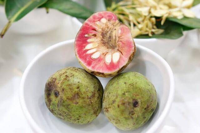 Quả chay chứa nhiều nước, năng lượng không cao và có thể là lựa chọn phù hợp trong chế độ ăn cân đối. (Ảnh minh hoạ)