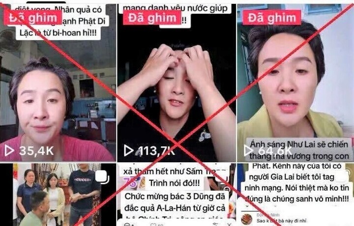Nguyễn Thị Bích Phượng dùng nhiều tài khoản đăng tải nhiều bài viết có nội dung sai sự thật. (Ảnh Công an tỉnh Gia Lai)