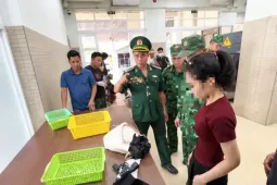 Khởi tố vụ người phụ nữ mang súng quân dụng từ Campuchia về Việt Nam