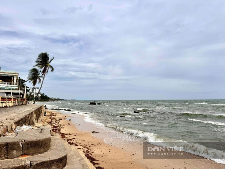 Các Tổ kiểm tra sẽ tiến hành kiểm tra toàn diện tất cả các điều kiện kinh doanh đối với các cơ sở kinh doanh, hộ gia đình trên địa bàn đặc khu từ ngày 10/8 đến ngày 16/8. Ảnh: HC