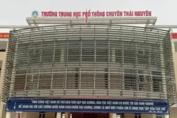 Nhiều Phó hiệu trưởng viết đơn xin làm giáo viên