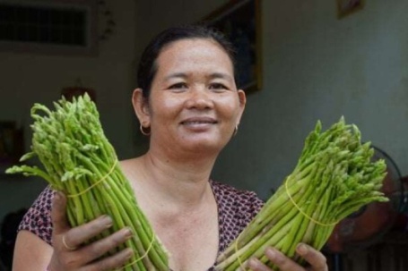 Dân ven biển Cần Thơ (địa phận Sóc Trăng cũ) thử trồng "rau vua" này, nay xuất khẩu được luôn