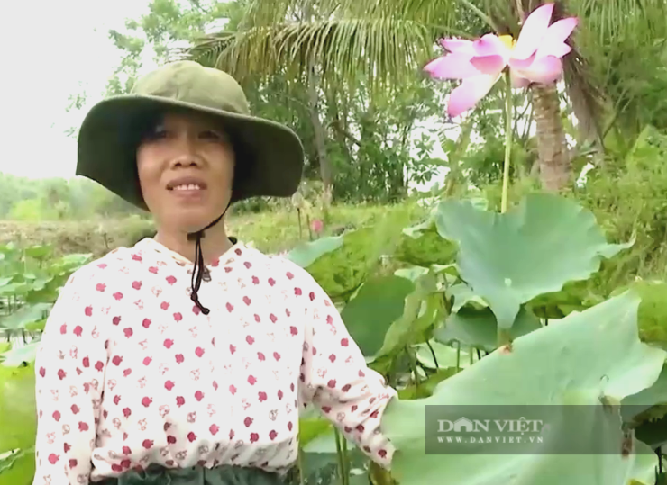 Chị Vân bên ruộng sen. Ảnh: T.Đ