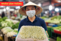 Tin tức sức khỏe - Chỉ mất vài ngàn đồng là nắm trong tay “nhân sâm trắng” đại bổ cho người mắc tiểu đêm, tiểu nhiều