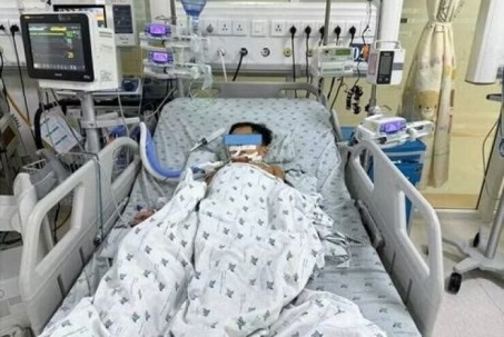 Ăn thịt chuột, ba chị em nguy kịch do ngộ độc