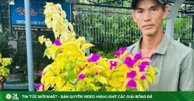 Một Chi hội trưởng Chi hội Nông dân ấp ở Đồng Tháp "phất lên" nhờ livestream bán hoa kiểng, thu nhập nửa tỷ/năm