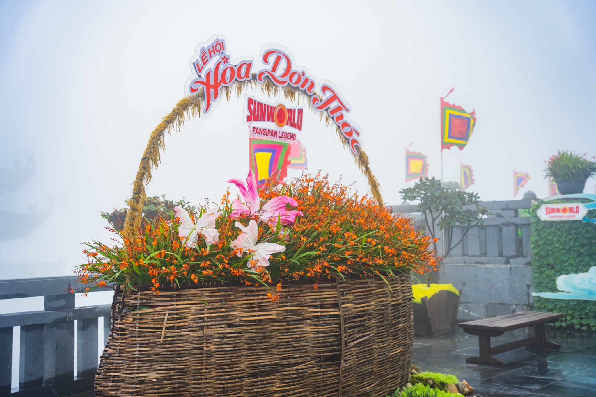 Hoa dơn thóc – biểu tượng của mùa màng bội thu, cuộc sống no đủ.