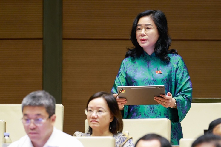 Đại biểu Lê Thị Hoài Chung&nbsp;