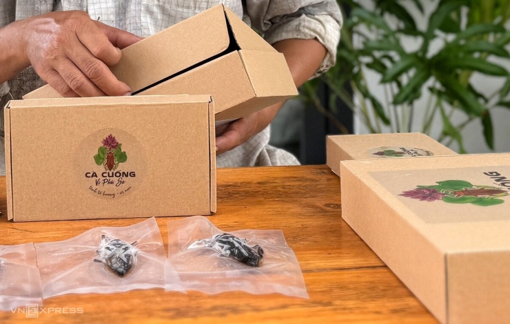 Cà cuống thương phẩm sau thu hoạch được làm sạch, ướp muối, nướng sơ, sau đó hút chân không và cấp đông. Theo anh Thuận, cách này giúp sản phẩm bảo quản được khoảng một năm.