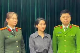 Xét xử nữ giám đốc tổ chức show 'Về đây bốn cánh chim trời'