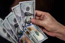 Vì sao giá USD lao dốc?