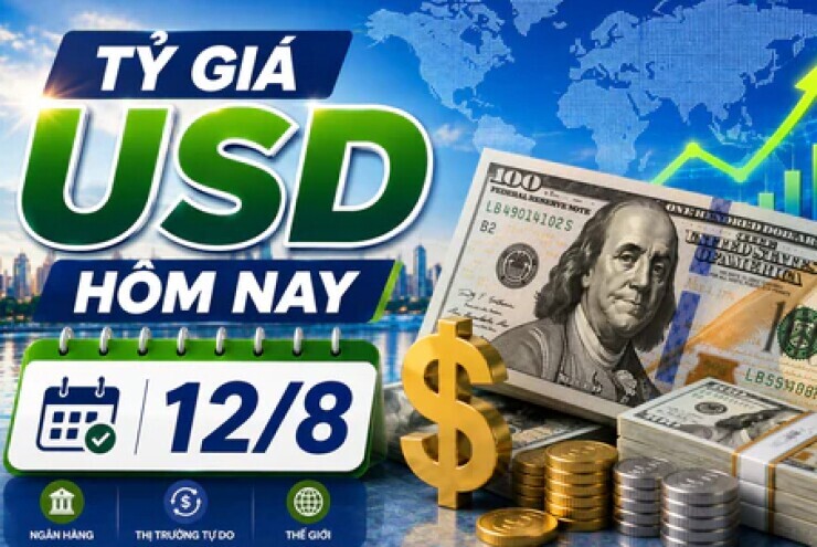Tỷ giá USD hôm nay 12/8: Đồng Đô la Mỹ khối ngân hàng thương mại tiếp tục giảm