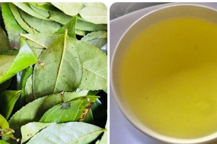 Điều gì sẽ xảy ra với cơ thể nếu bạn uống nước chè xanh mỗi ngày?