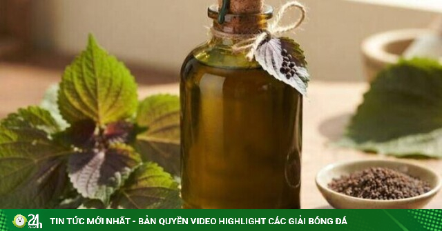 3 lợi ích của dầu tía tô với người ăn kiêng, giảm cân