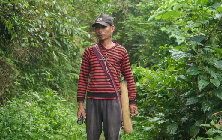 Người dân làng Saiden đi bắt ve sầu. Ảnh: Ashutosh Kumar/Al Jazeera
