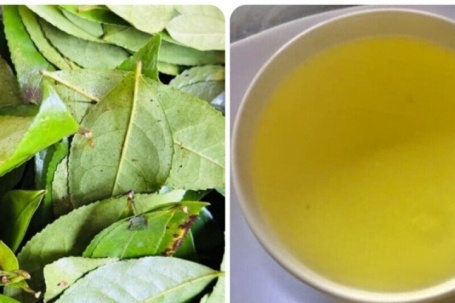 Điều gì sẽ xảy ra với cơ thể nếu bạn uống nước chè xanh mỗi ngày?
