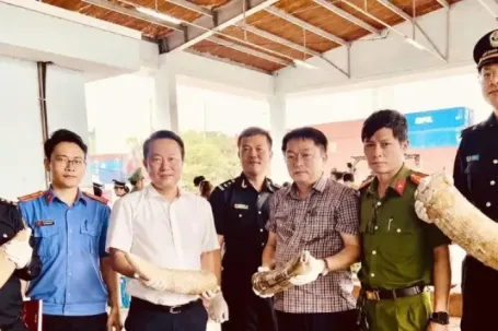 Phát hiện gần 1,2 tấn ngà voi và xương động vật tại cảng Quy Nhơn