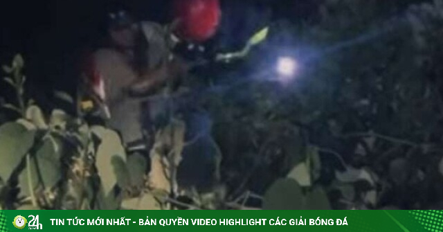 Rơi xuống vực sâu ở núi Sơn Trà, sinh viên 19 tuổi may mắn được cứu trong đêm