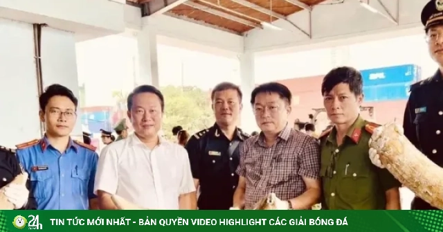 Phát hiện gần 1,2 tấn ngà voi và xương động vật tại cảng Quy Nhơn