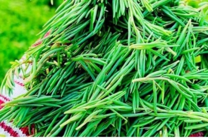 Rau mặn đặc sản được nhiều người tìm mua