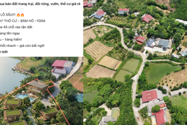 Hết thời “bỏ phố về rừng”: Bất động sản trang trại giá giảm nhưng vẫn ế ẩm