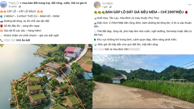 Hết thời “bỏ phố về rừng”: Bất động sản trang trại giá giảm nhưng vẫn ế ẩm - 2