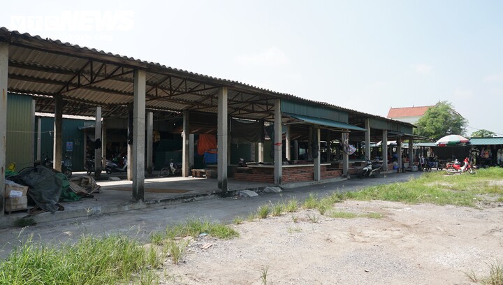 Khu chợ xây trên đất lúa ở Quảng Ninh, bị xử phạt và truy thu gần 6 tỷ đồng - 9