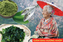 Tin tức sức khỏe - Học người Nhật bí quyết giảm đau xương khớp đơn giản được truyền qua hàng trăm năm