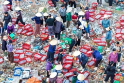 Chợ làng chài cách Hà Nội 3,5 giờ lái xe, hải sản tươi, mực từ 100.000 đồng/kg