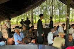Hai vợ chồng điều hành sới gà quy mô lớn trong rẫy cao su