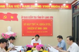 Lạng Sơn khai trừ ra khỏi Đảng bốn cán bộ vi phạm khuyết điểm nghiêm trọng