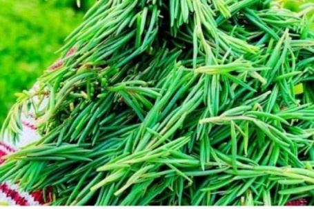 Rau mặn đặc sản được nhiều người tìm mua