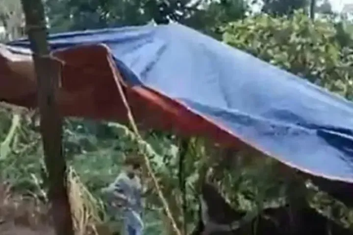 Nam giáo viên khai quá trình sát hại, phi tang thi thể nữ nhân viên thư viện cùng trường