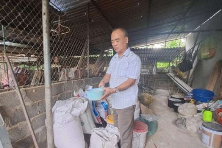 Nuôi lợn rừng bằng thức ăn sẵn có, một ông nông dân Thái Nguyên vượt qua hai lần suýt vỡ nợ ra sao?