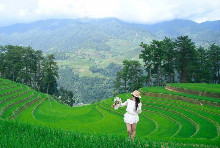 Ảnh chụp tại đồi Móng Ngựa ở Mù Cang Chải ngày 11/8. Ảnh: Mùa A Giàng