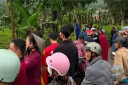 Phát hiện thi thể nữ nhân viên thư viện mất tích sau tiệc liên hoan
