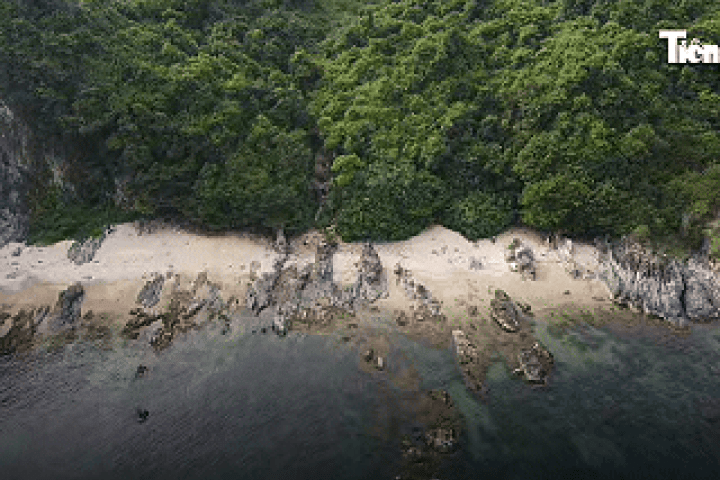 Ngoài Mũi Nghê, hai nơi tuyệt đẹp ở Sơn Trà cũng bị cấm trekking