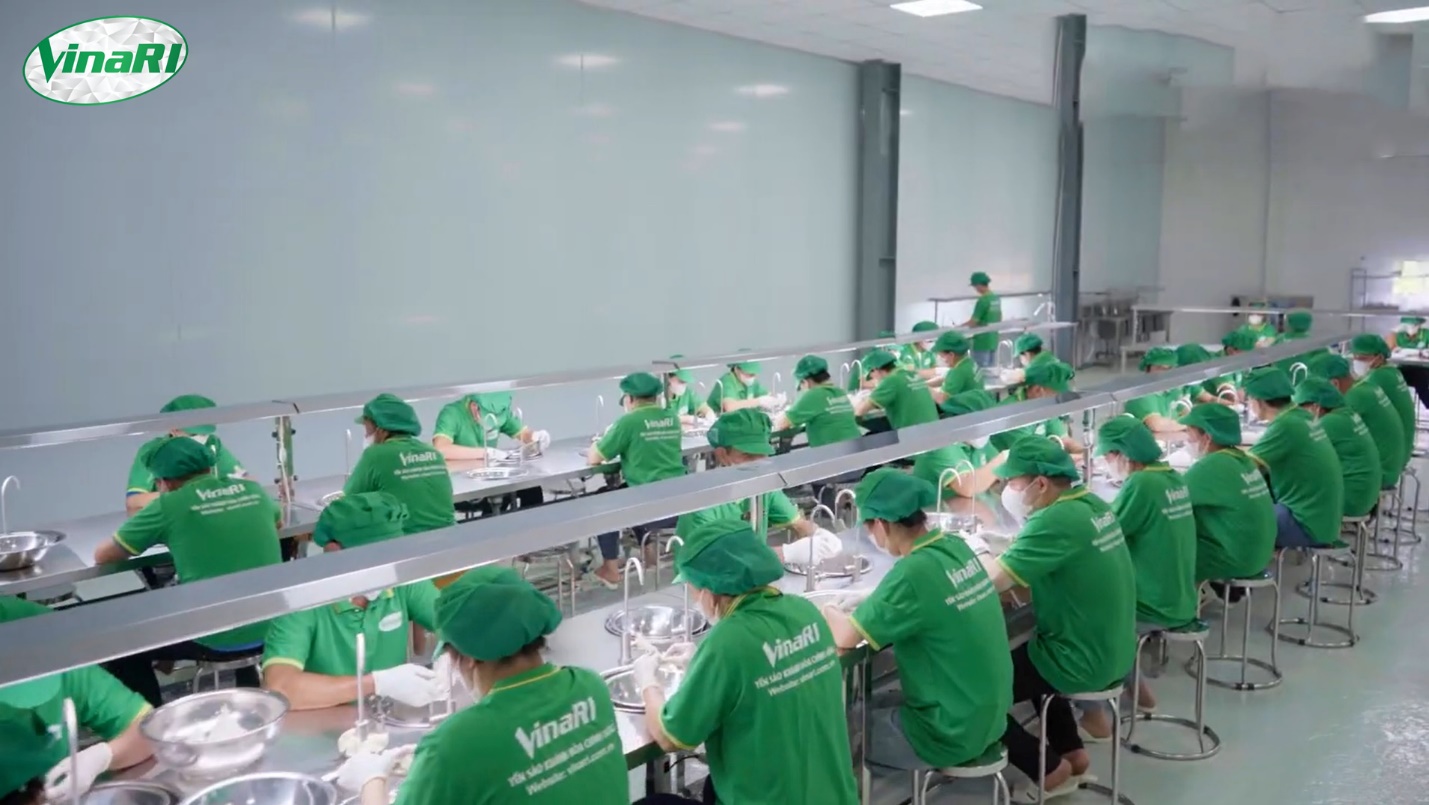 Công nhân thực hiện công đoạn làm sạch, nhặt lông và loại bỏ tạp chất từ tổ yến nguyên liệu. Ảnh: VinaRI.